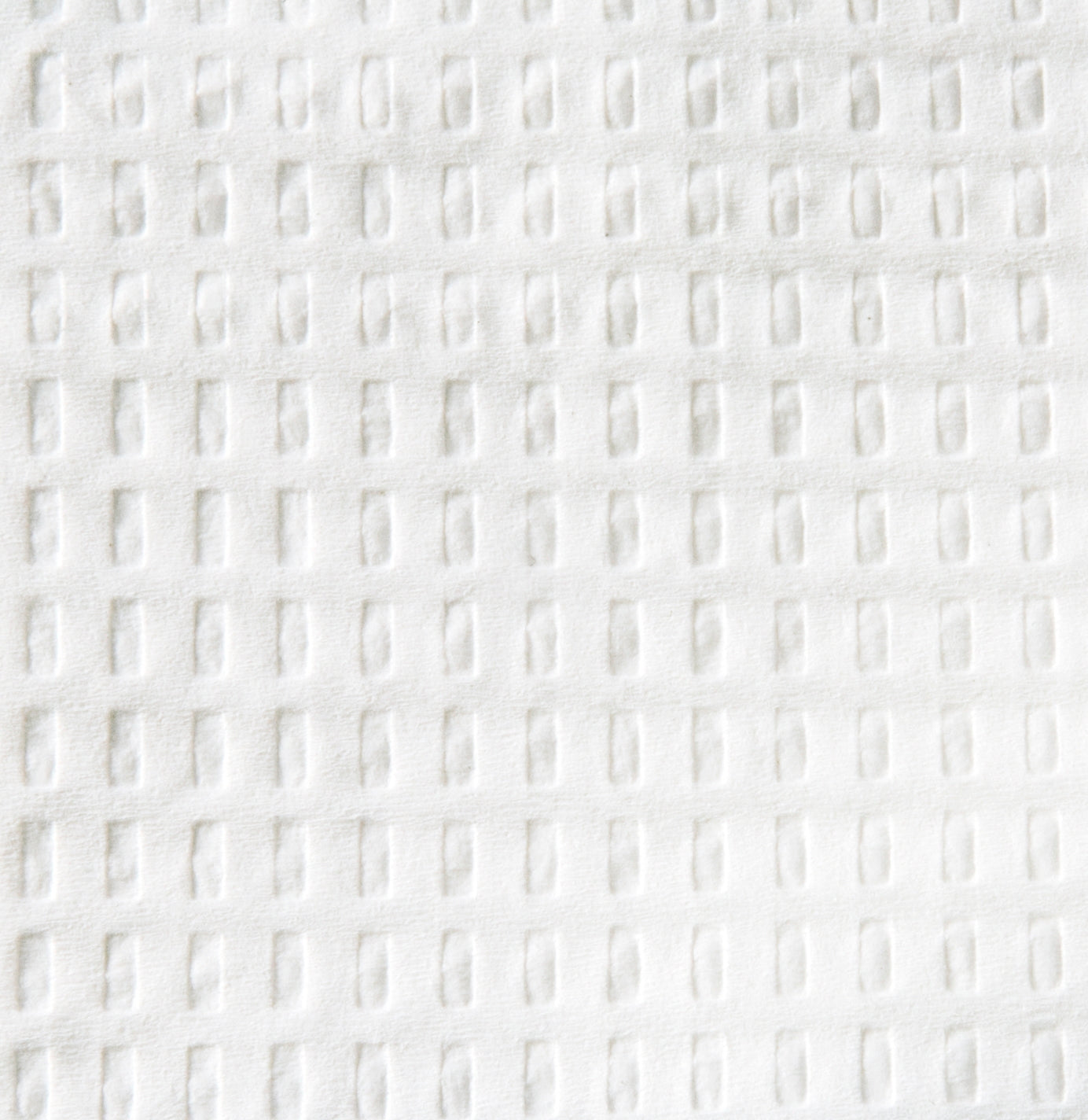 TIDI Products Kaypees Professional Towels (4-ply Tissue)